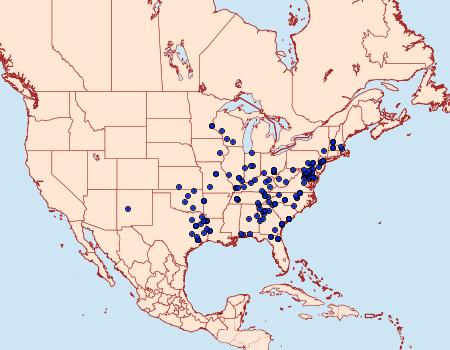 Distribution Data for Acronicta betulae