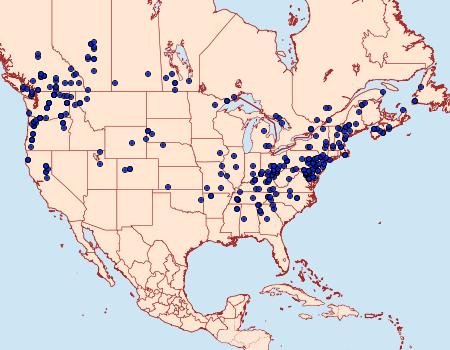 Distribution Data for Acronicta radcliffei