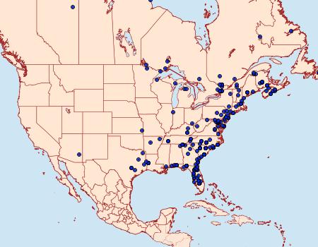 Distribution Data for Acronicta tritona