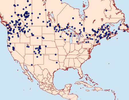 Distribution Data for Acronicta grisea