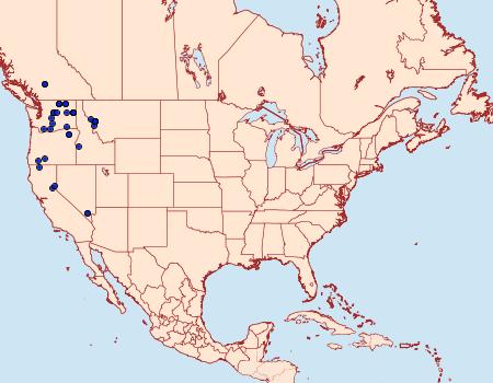 Distribution Data for Acronicta mansueta