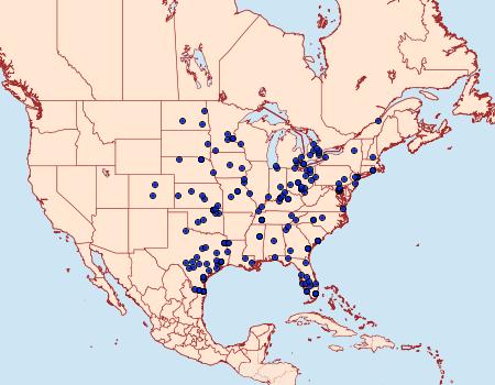 Distribution Data for Acronicta connecta