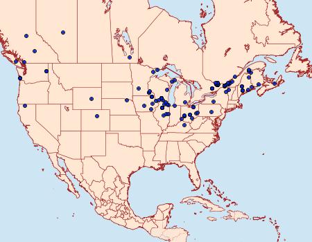 Distribution Data for Depressaria radiella