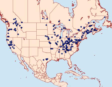 Distribution Data for Acronicta funeralis