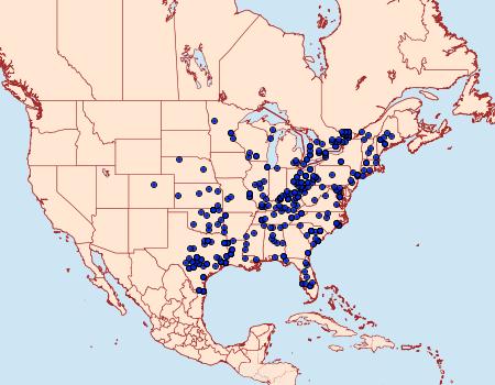 Distribution Data for Acronicta vinnula