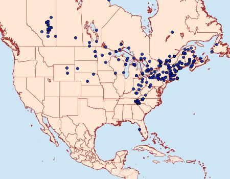 Distribution Data for Acronicta superans