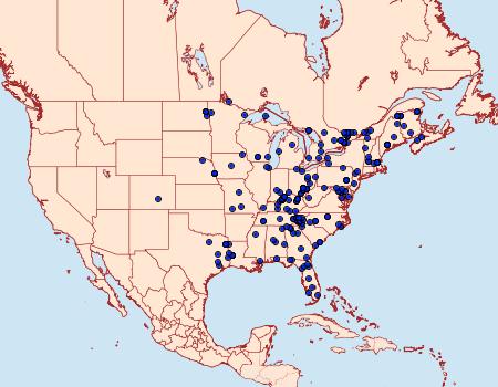 Distribution Data for Acronicta laetifica