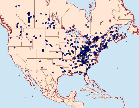 Distribution Data for Acronicta hasta