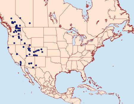 Distribution Data for Acronicta strigulata