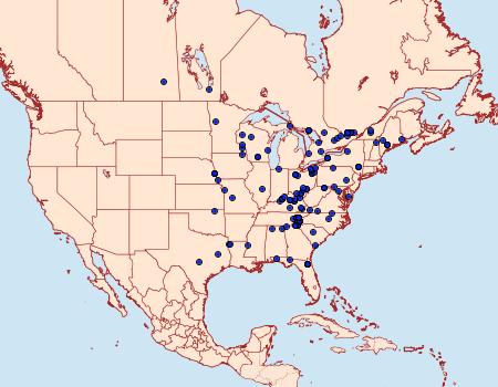 Distribution Data for Acronicta spinigera