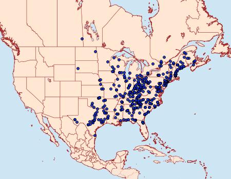 Distribution Data for Acronicta lobeliae