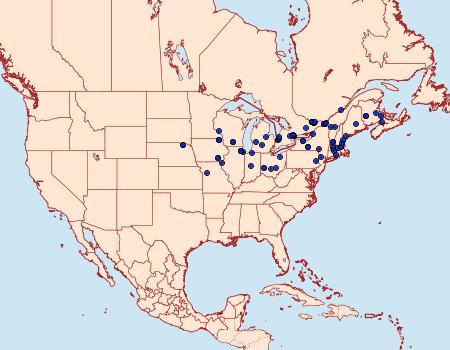 Distribution Data for Depressaria depressana