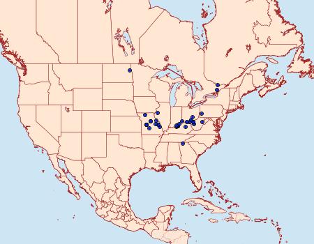 Distribution Data for Acronicta heitzmani