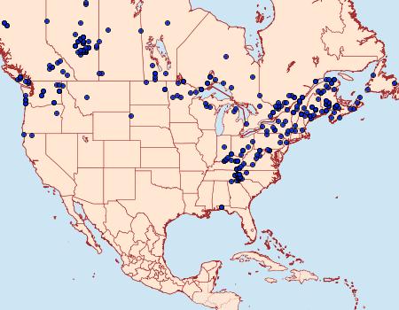 Distribution Data for Acronicta fragilis