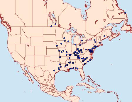 Distribution Data for Acronicta exilis