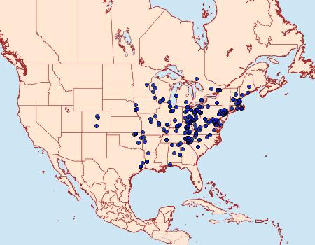 Distribution Data for Acronicta ovata