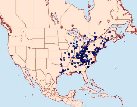 Distribution Data for Acronicta modica