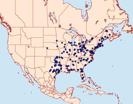 Distribution Data for Acronicta clarescens