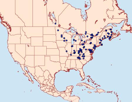 Distribution Data for Acronicta tristis