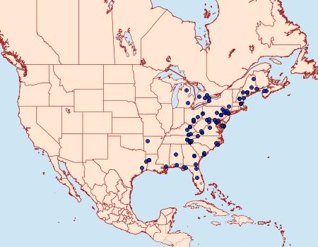 Distribution Data for Acronicta hamamelis