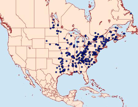 Distribution Data for Acronicta increta