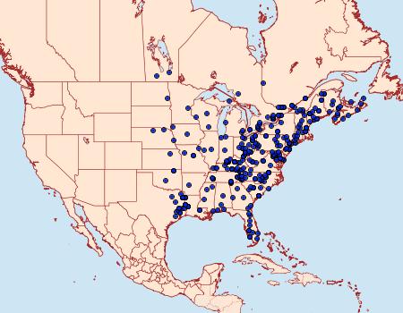 Distribution Data for Acronicta retardata