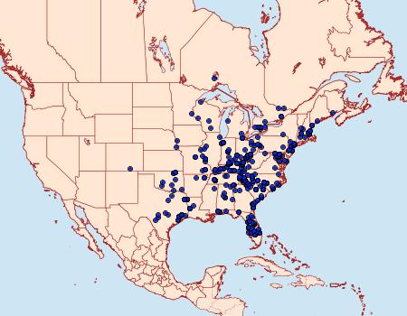 Distribution Data for Acronicta afflicta