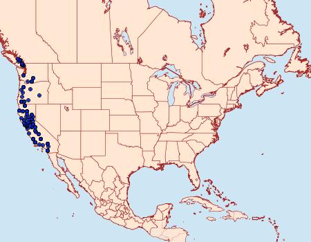 Distribution Data for Acronicta marmorata