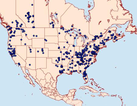 Distribution Data for Acronicta impleta