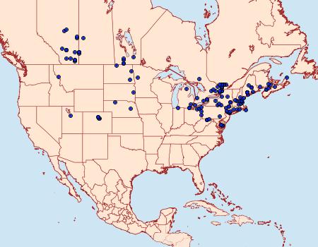 Distribution Data for Acronicta sperata