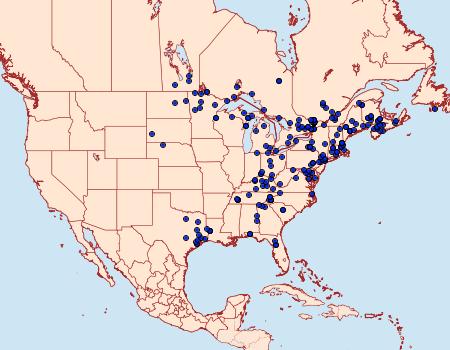 Distribution Data for Acronicta noctivaga