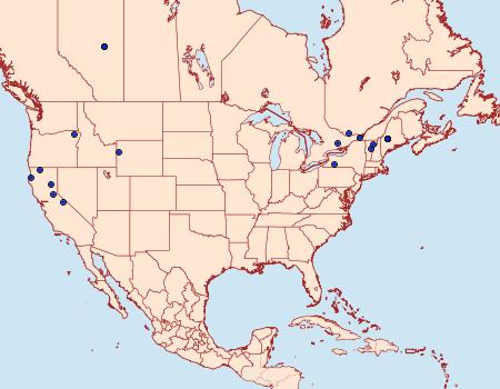 Distribution Data for Depressaria alienella