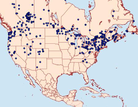 Distribution Data for Acronicta impressa