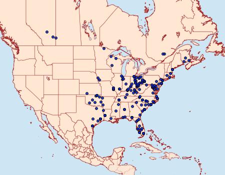 Distribution Data for Acronicta longa