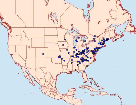 Distribution Data for Acronicta lithospila