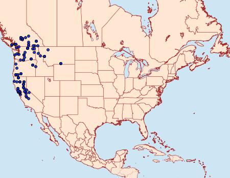 Distribution Data for Acronicta perdita