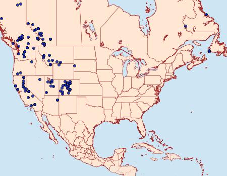 Distribution Data for Acronicta lupini