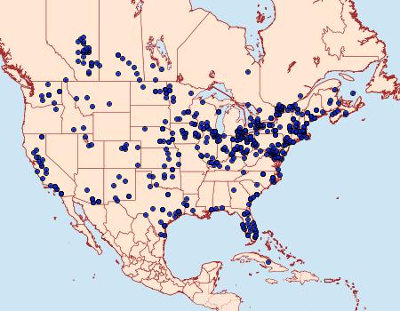 Distribution Data for Acronicta insularis