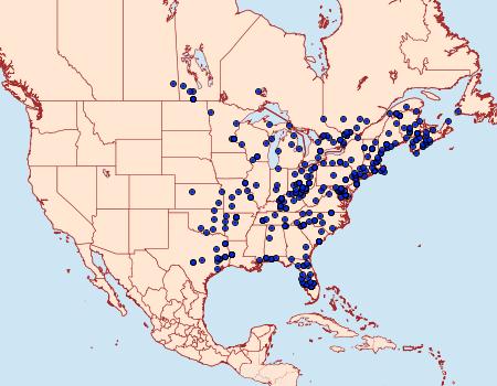 Distribution Data for Acronicta fallax