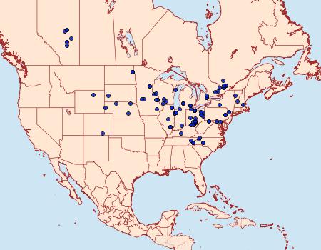 Distribution Data for Anterastria teratophora