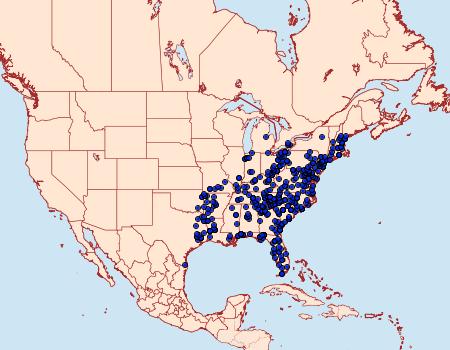 Distribution Data for Polygrammate hebraeicum