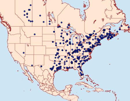 Distribution Data for Harrisimemna trisignata