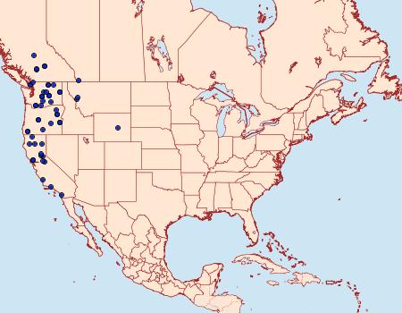 Distribution Data for 