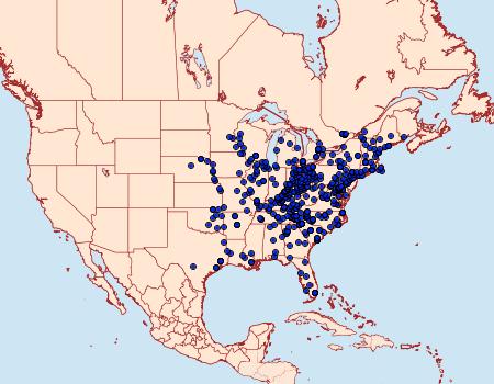 Distribution Data for Eudryas grata