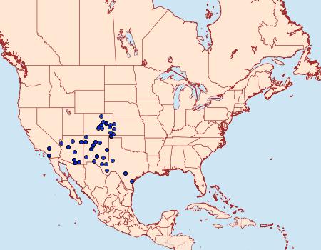 Distribution Data for Euscirrhopterus gloveri