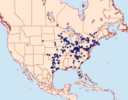 Distribution Data for Psychomorpha epimenis