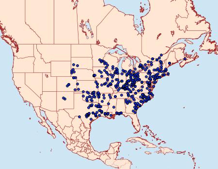 Distribution Data for Alypia octomaculata