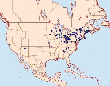 Distribution Data for Apamea nigrior