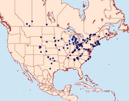 Distribution Data for Apamea cariosa