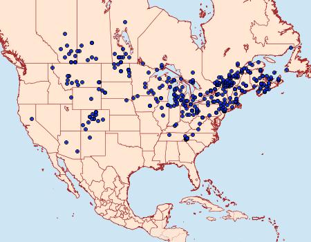 Distribution Data for Apamea lignicolora